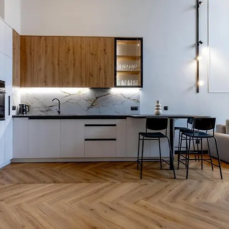 Citystay With A Mezzanine In The Heart Of Appartement